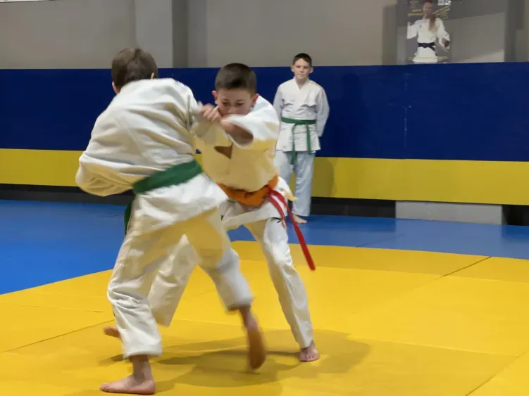 Південна ліга 2025 юнаки дзюдо 55 кг суточка