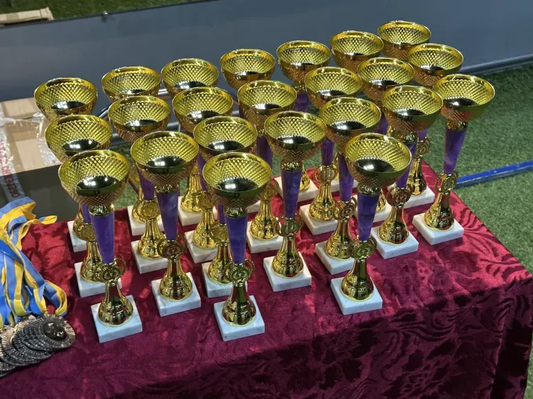 Підсумковий турнір Південної ліги дзюдо ФДОО 2025