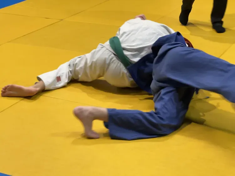 Південна ліга 2025 66 кг